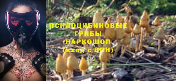 spice Абинск