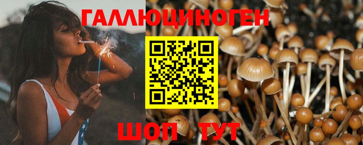 Галлюциногенные грибы GOLDEN TEACHER  Вход с VPN  Зеленокумск 